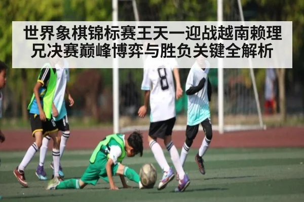 世界象棋锦标赛王天一迎战越南赖理兄决赛巅峰博弈与胜负关键全解析